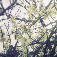 Gloomlights
