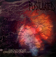 Inherited Cryptorchidism