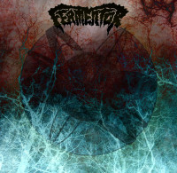 Fermentor