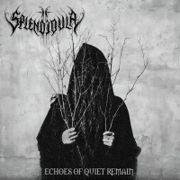 Echoes of Quiet Remain