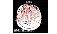 Ruined - Only the Negative Will Save Us