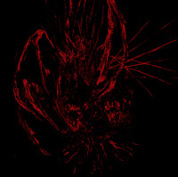 Wielding Malignity