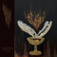Serpentine Divinations Etched in Bleached Bone