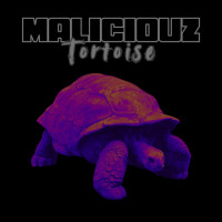Tortoise