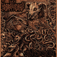 Sin of Skin