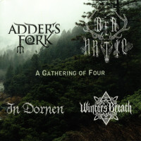 A Gathering of Four