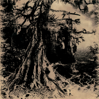 Wisdom Through Agony Into Illumination and Lunacy