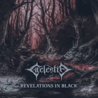Revelations In Black