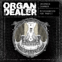 Insomnia Chamber