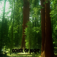 Cover of Night