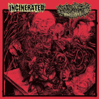Incinerated / Hallucination Realized