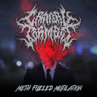 Meth Fueled Mutilation