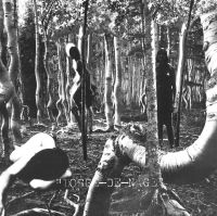 Bosse‐de‐Nage
