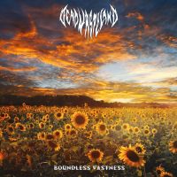 Boundless Vastness