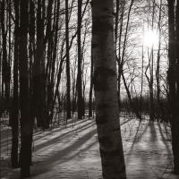 Album cover for Maahan Laskettu